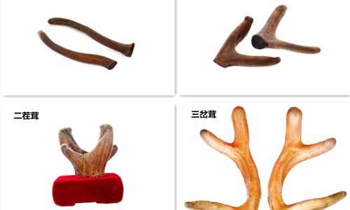 达己苏伤肝吗-达己苏含多久后咽下专区_达己苏是什么药专区_达己苏副作用网