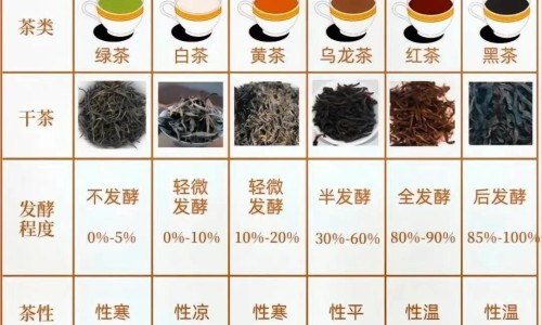 达己苏治疗什么病-达己苏含多久后咽下专区_达己苏是什么药专区_达己苏副作用网